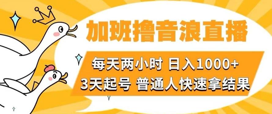 加班撸音浪直播，每天两小时，日入1000+，直播话术才3句，3天起号，普通人快速拿结果【揭秘】-91创业项目库
