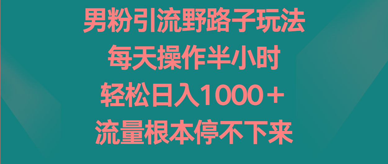 男粉引流野路子玩法，每天操作半小时轻松日入1000＋，流量根本停不下来-91创业项目库