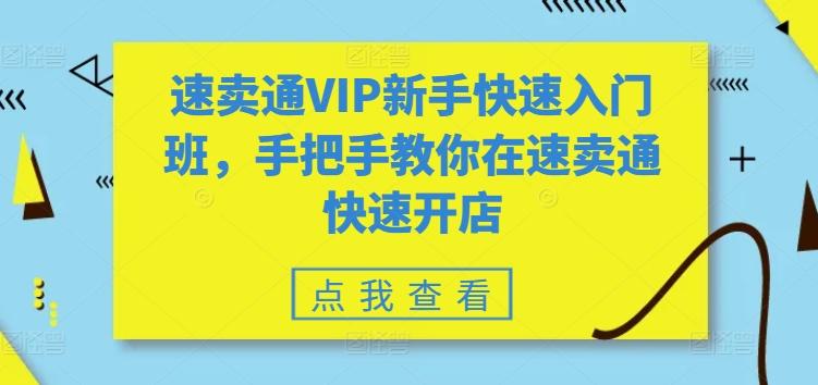速卖通VIP新手快速入门班，手把手教你在速卖通快速开店-91创业项目库