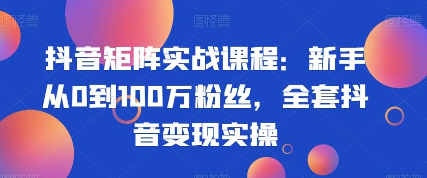 抖音矩阵实战课程：新手从0到100万粉丝，全套抖音变现实操-91创业项目库