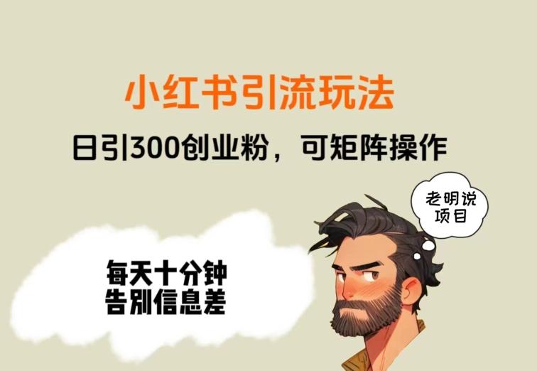 靠小红书视频日印300粉，两分钟一个视频轻松矩阵-91创业项目库