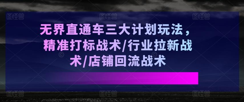 无界直通车三大计划玩法，精准打标战术/行业拉新战术/店铺回流战术-91创业项目库