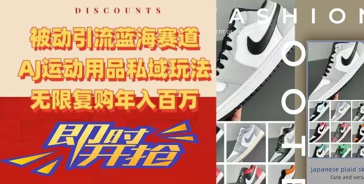 被动引流蓝海赛道，AJ运动用品私域玩法，无限复购年入百万【揭秘】-91创业项目库