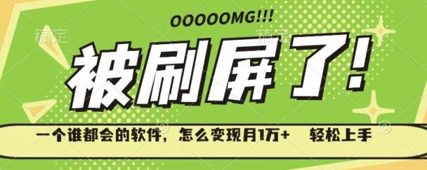 一个谁都会的软件，怎么变现月1万+轻松上手-91创业项目库