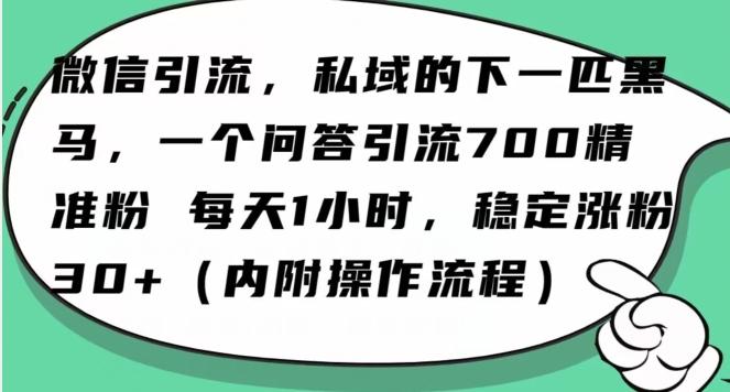 怎么搞精准创业粉？微信新赛道，每天一小时，利用Ai一个问答日引100精准粉-91创业项目库