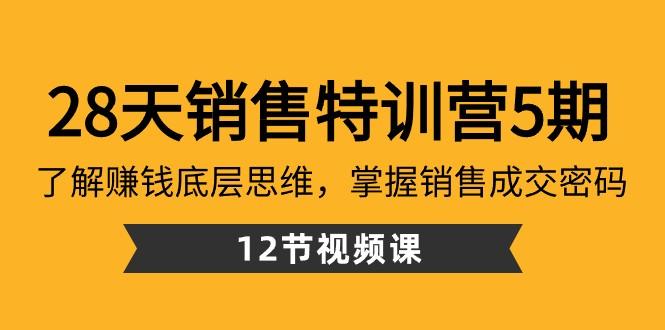 28天销售特训营5期：了解赚钱底层思维，掌握销售成交密码（12节课）-91创业项目库