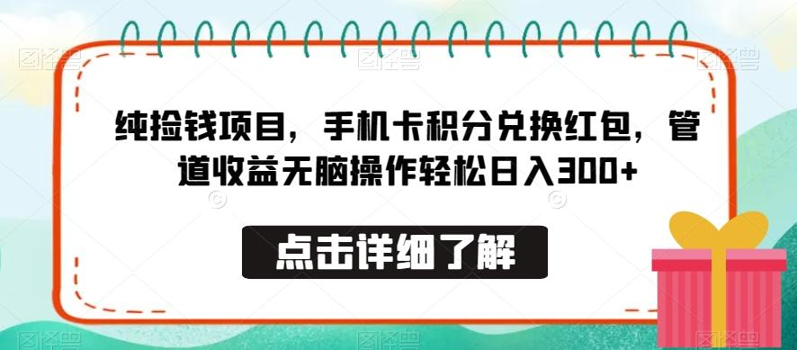 纯捡钱项目，手机卡积分兑换红包，管道收益无脑操作轻松日入300+-91创业项目库