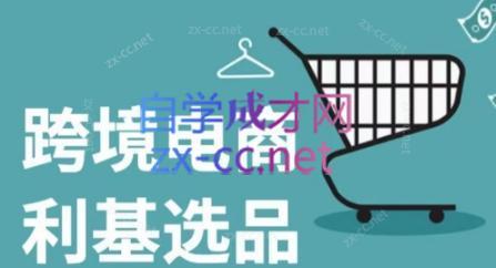 阿甘·2024年跨境电商选品案例(更新)-91创业项目库