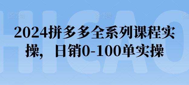 2024拼多多全系列课程实操，日销0-100单实操【必看】-91创业项目库