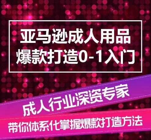 亚马逊成人用品爆款打造0-1入门，系统化讲解亚马逊成人用品爆款打造的流程-91创业项目库