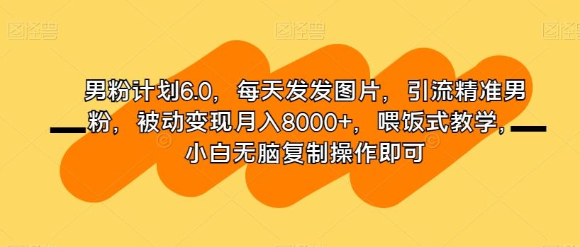 男粉计划6.0，每天发发图片，引流精准男粉，被动变现月入8000+，喂饭式教学，小白无脑复制操作即可-91创业项目库