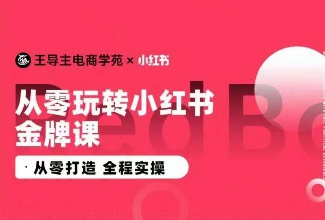 王导主·小红书电商运营实操课，​从零打造  全程实操-91创业项目库