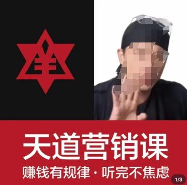 天道老阮-天道营销课，​赚钱有规律，听完不焦虑-91创业项目库