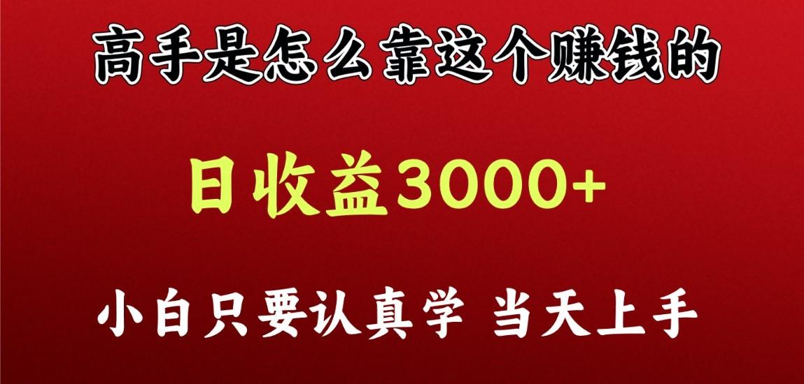 看高手是怎么赚钱的，一天收益至少3000+以上，小白当天上手-91创业项目库
