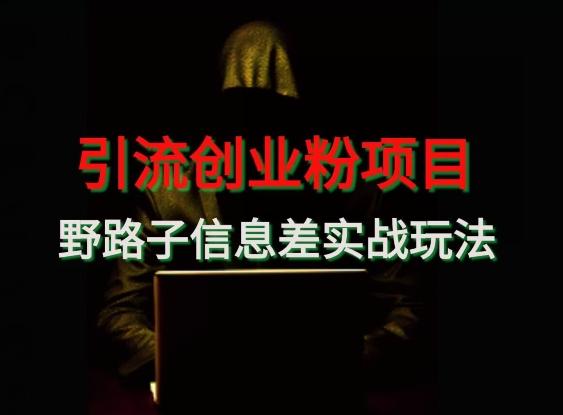 【引流创业粉】野路子信息差玩法实战教学-91创业项目库