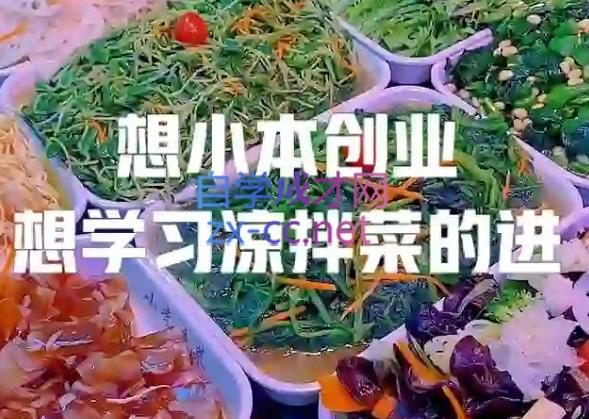 李记·精品凉拌菜系列热卤系列教程-91创业项目库