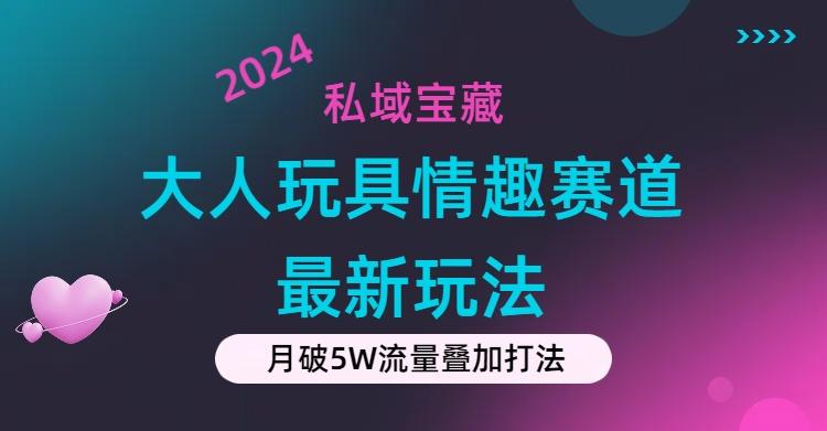 私域宝藏：大人玩具情趣赛道合规新玩法，零投入，私域超高流量成单率高-91创业项目库
