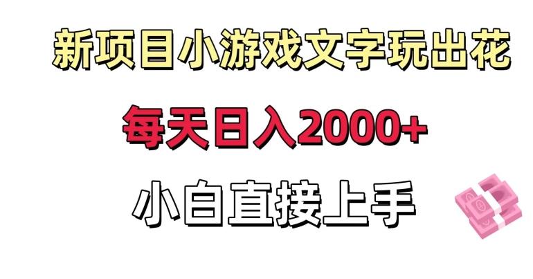 新项目小游戏文字玩出花日入2000+，每天只需一小时，小白直接上手【揭秘】-91创业项目库