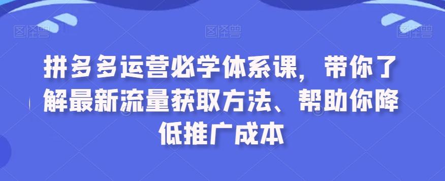 拼多多运营必学体系课，带你了解最新流量获取方法、帮助你降低推广成本-91创业项目库