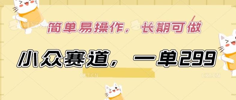 小众赛道，一单299.简单易操作，长期可做【揭秘】-91创业项目库