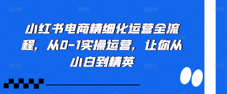 小红书电商精细化运营全流程，从0-1实操运营，让你从小白到精英-91创业项目库