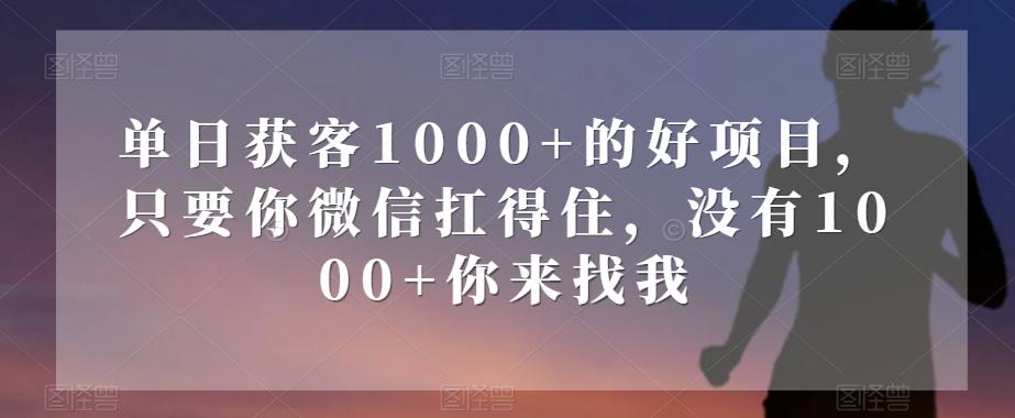 单日获客1000+的好项目，只要你微信扛得住，没有1000+你来找我【揭秘】-91创业项目库