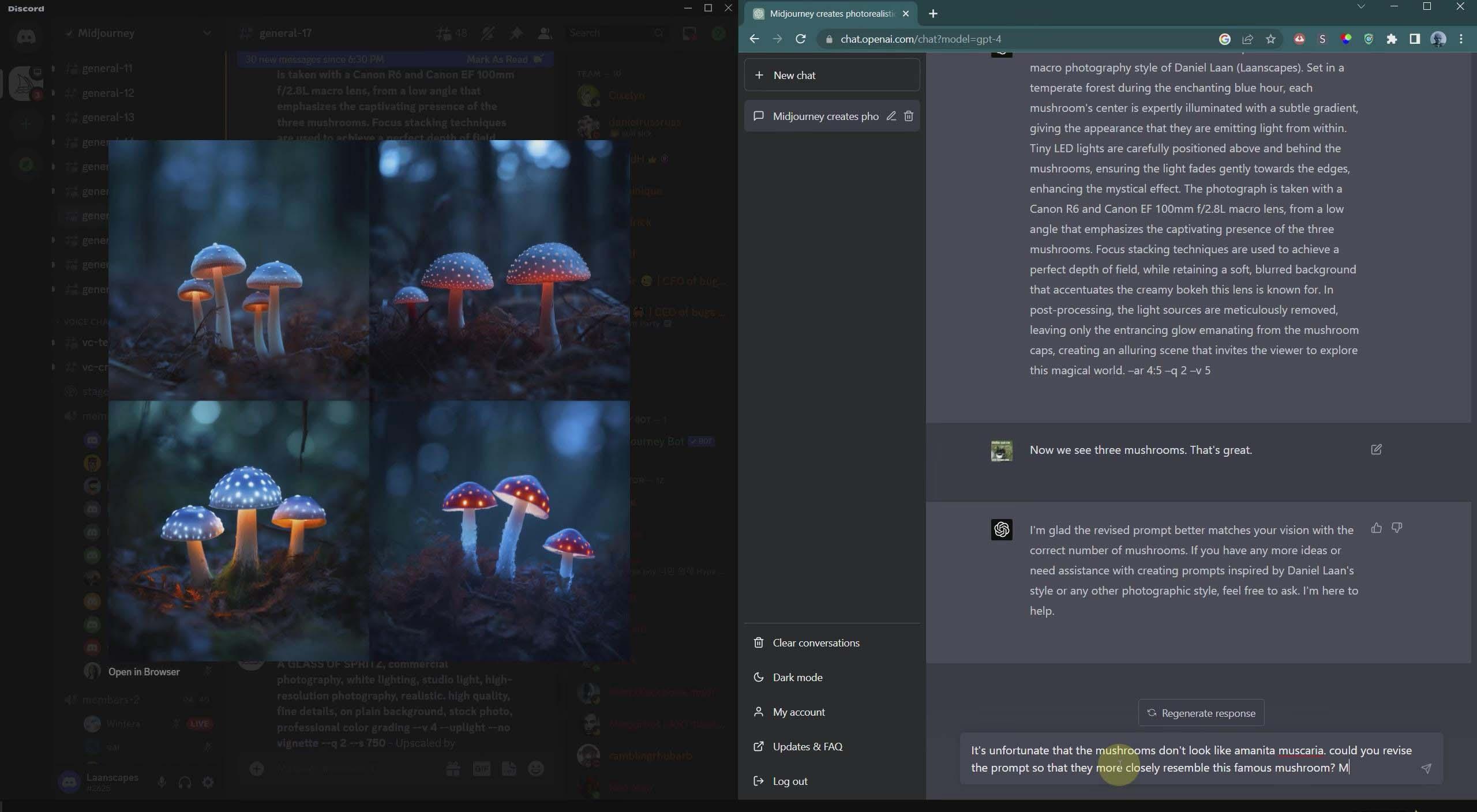 图片[4]-(8717期)摄影师 Daniel Laan 使用ChatGPT与Midjourney生成风光图像-中英字幕-91创业项目库