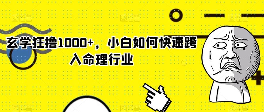玄学狂撸1000+，小白如何快速跨入命理行业-91创业项目库