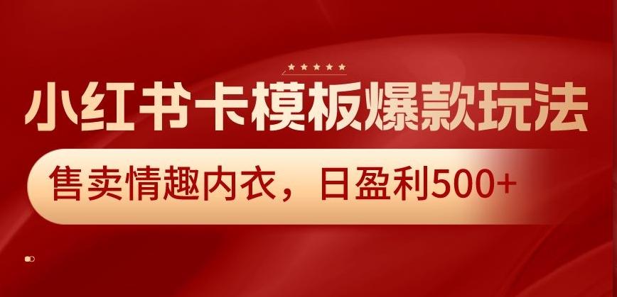 小红书卡模板爆款玩法，售卖情趣内衣，日盈利500+【揭秘】-91创业项目库
