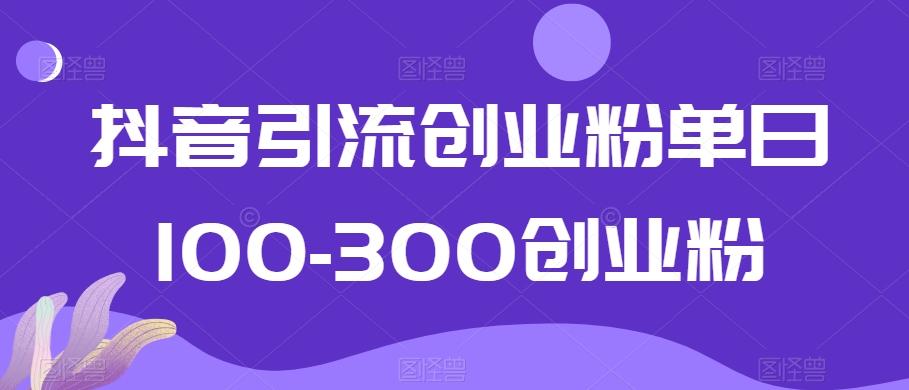 抖音引流创业粉单日100-300创业粉【揭秘】-91创业项目库