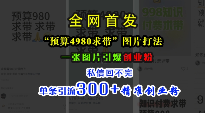 小红书“预算4980带我飞”图片打法，一张图片引爆创业粉，私信回不完，单条引流300+精准创业粉-91创业项目库