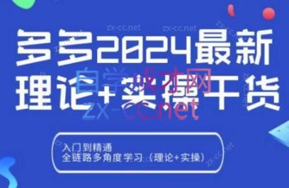 拼多多2024最新规则理论结合实际的干货-91创业项目库