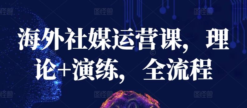 海外社媒运营课，理论+演练，全流程-91创业项目库