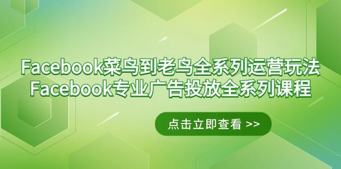 Facebook-菜鸟到老鸟全系列运营玩法+Facebook-专业广告投放全系列课程-91创业项目库