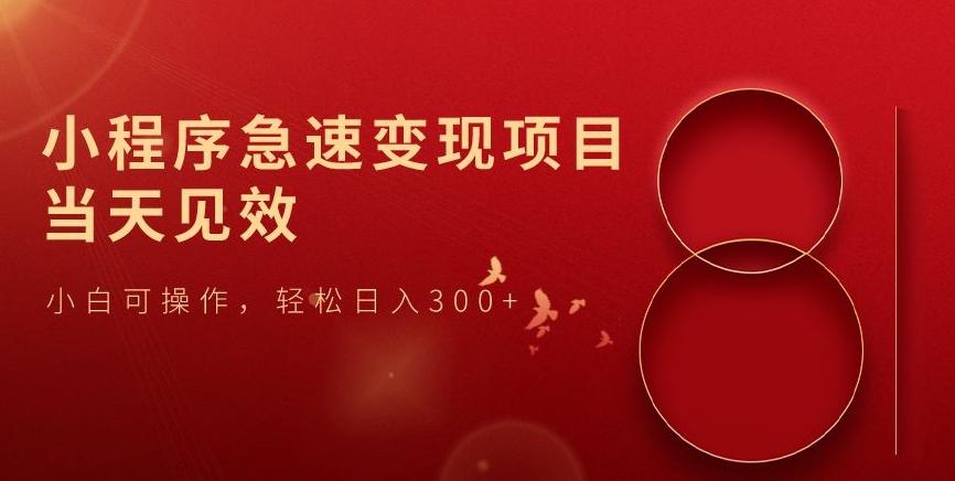 小程序急速变现项目，当天见效，小白可操作，轻松日入300+-91创业项目库