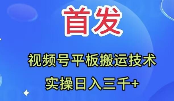全网首发：视频号平板搬运技术，实操日入三千＋-91创业项目库