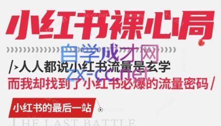 月月老师·小红书低粉高变现课-91创业项目库