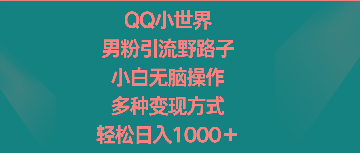 QQ小世界男粉引流野路子，小白无脑操作，多种变现方式轻松日入1000＋-91创业项目库