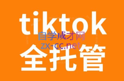 TikTok跨境电商全托管运营模式精品课-91创业项目库