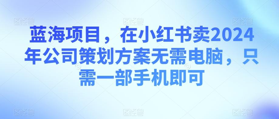 蓝海项目，在小红书卖2024年公司策划方案无需电脑，只需一部手机即可-91创业项目库