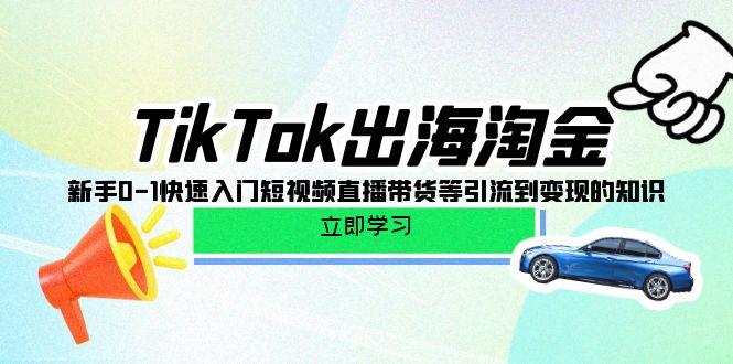 (10035期)TikTok-出海淘金，新手0-1快速入门短视频直播带货等引流到变现的知识-91创业项目库