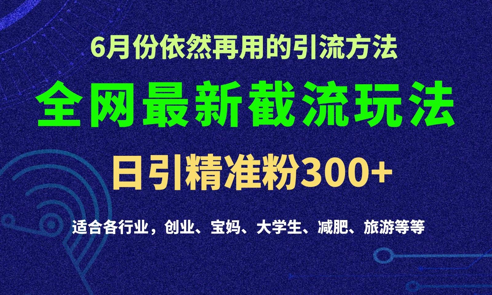 2024全网最新截留玩法,每日引流突破300+-91创业项目库