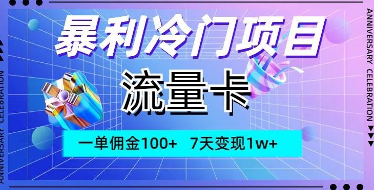 暴利冷门项目，流量卡，一单佣金100+，7天变现1w+-91创业项目库