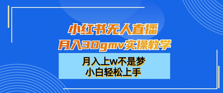 小红书无人直播月入30gmv实操教学，月入上w不是梦，小白轻松上手【揭秘】-91创业项目库