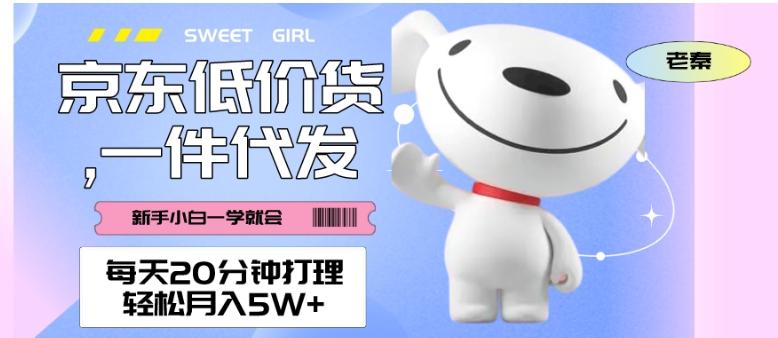 每天20分钟打理京东低价货，一件代发-轻松月入5W＋-91创业项目库