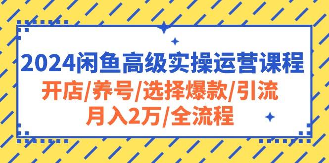 2024闲鱼高级实操运营课程：开店/养号/选择爆款/引流/月入2万/全流程-91创业项目库