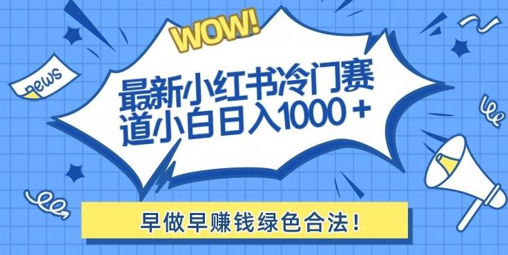 最新小红书冷门赛道日入1000+一部手机小白轻松-91创业项目库