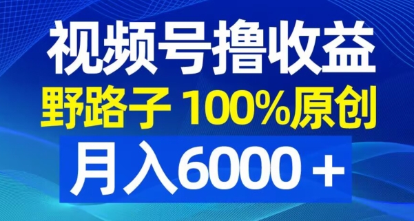 视频号野路子撸收益，100%原创，条条爆款，月入6000＋【揭秘】-91创业项目库