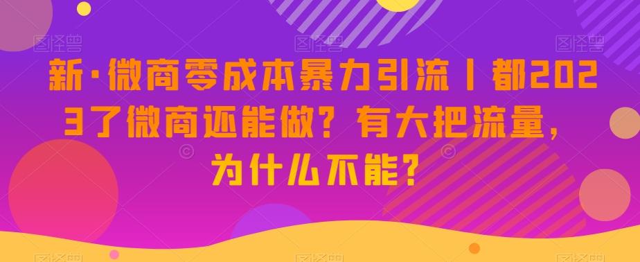 新·微商零成本暴力引流丨都2023了微商还能做？有大把流量，为什么不能？-91创业项目库