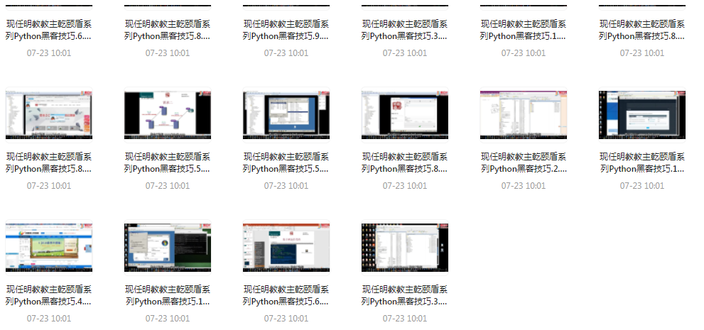 Python黑客技巧课程-91创业项目库